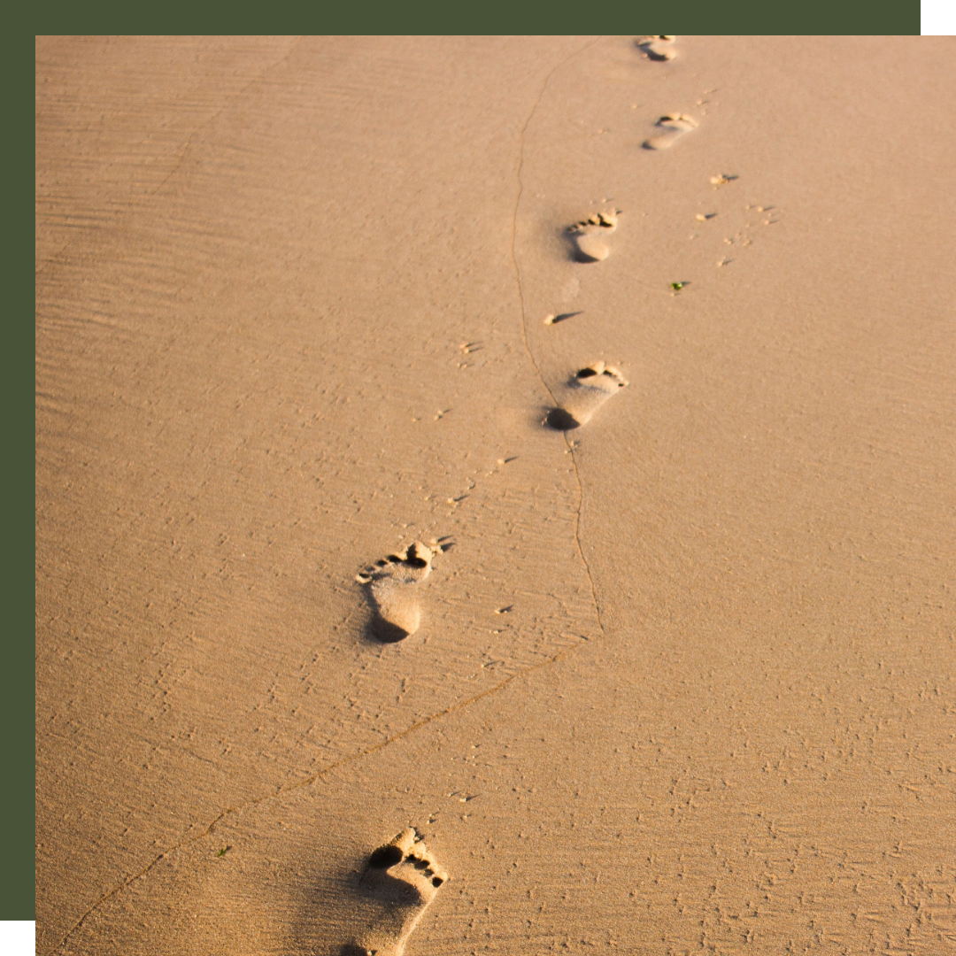 Bisherige Wege reflektieren, neue Wege erarbeiten und zufriedener die eigene Arbeitswelt gestalten. Ob Sie Unterstützung bei der Klärung von beruflichen Fragen und Herausforderungen benötigen oder als Team die Zusammenarbeit und Teamdynamik verbessern möchten – ich bin davon überzeugt, dass Supervision und Coaching dafür das richtige Format sind.